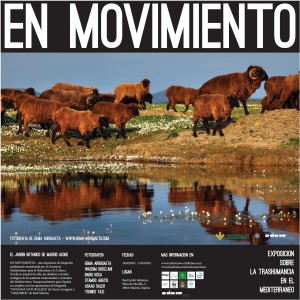 EnMovimiento