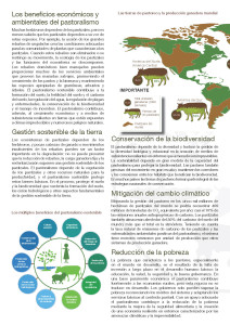 policy_brief_2014___spanish_1_Página_2