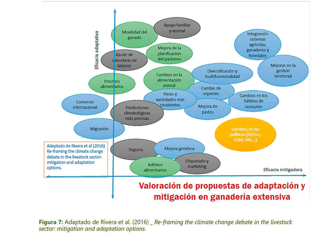 La imagen tiene un atributo ALT vacío; su nombre de archivo es GraficoMR.png