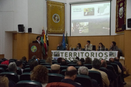 Las presentaciones de Territorios Pastoreados 3 en la web
