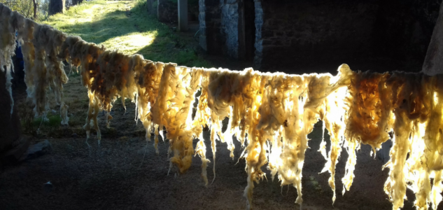 De la oveja al ovillo…
