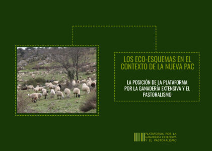 Eco-esquemas para la ganadería extensiva