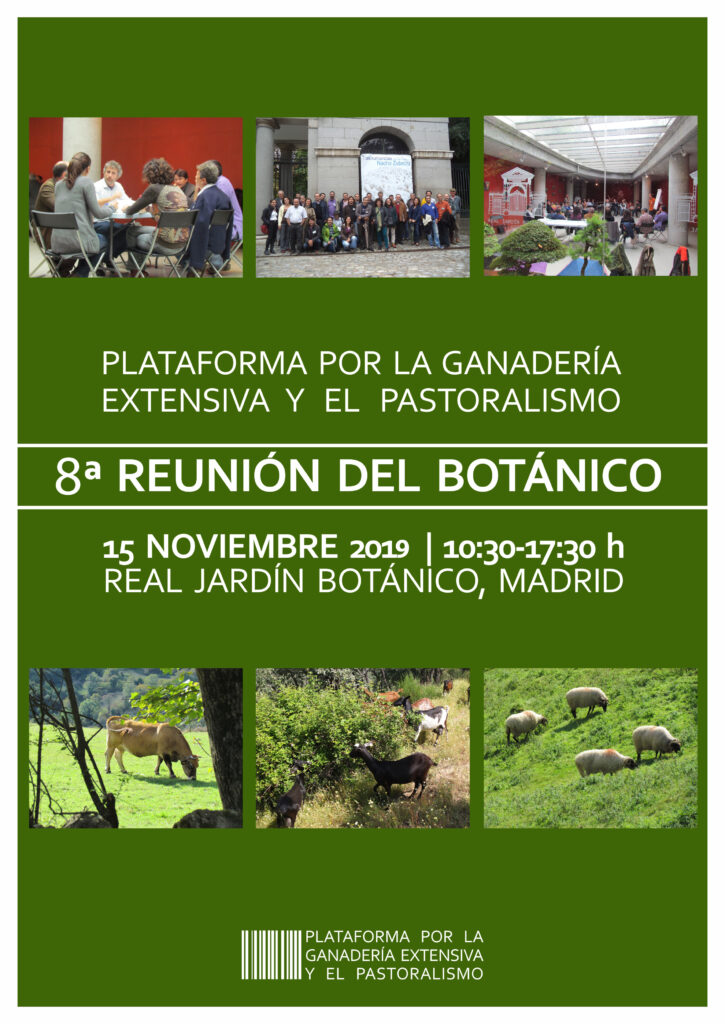 VIII Reunión del botánico