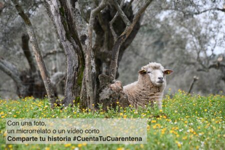 #CuentaTuCuarentena