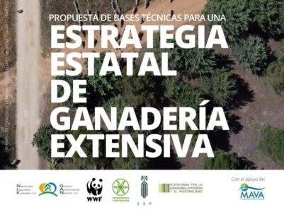 Realizamos una propuesta de Estrategia Estatal para la Ganadería Extensiva