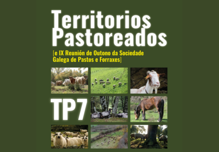 Nueva cita con Territorios Pastoreados: TP7 del 18 al 21 de septiembre en Lugo