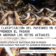 Los retos del pastoralismo en España: una clasificación para comprenderlo mejor