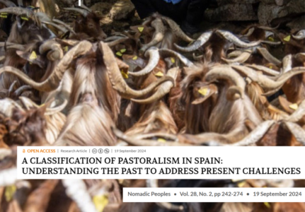 Los retos del pastoralismo en España: una clasificación para comprenderlo mejor
