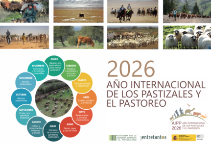2026, Año Internacional del Pastoreo y los Pastizales: comenzamos a organizarnos