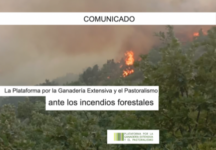 La Plataforma por la Ganadería Extensiva y el Pastoralismo ante los incendios forestales