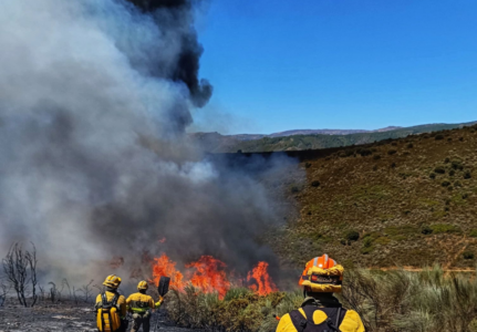 Mensaje de apoyo incendios