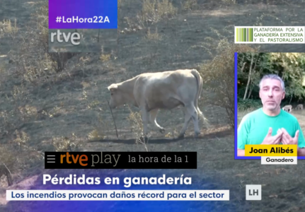 Gestión de incendios, gestión social del territorio