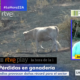 Gestión de incendios, gestión social del territorio