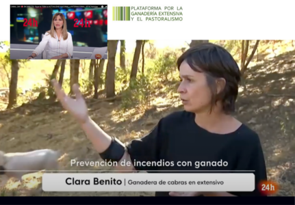 Prevención de incendios con ganadería extensiva